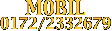 0172/2332679